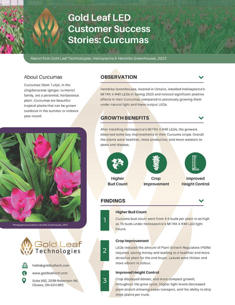 Case study Hendriks Greenhouses and Heliospectra